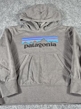 Patagonia Hoodie Sweatshirt Men's Small S Gray Spellout Fitz Roy Logo Pullover